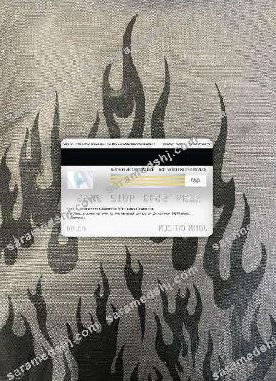 Cameroon BGFI bank visa debit card photolook back